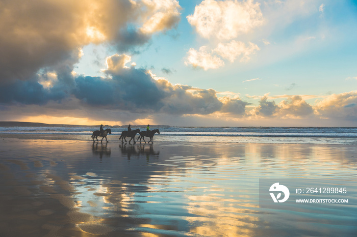 Horses walking on the beach at sunset