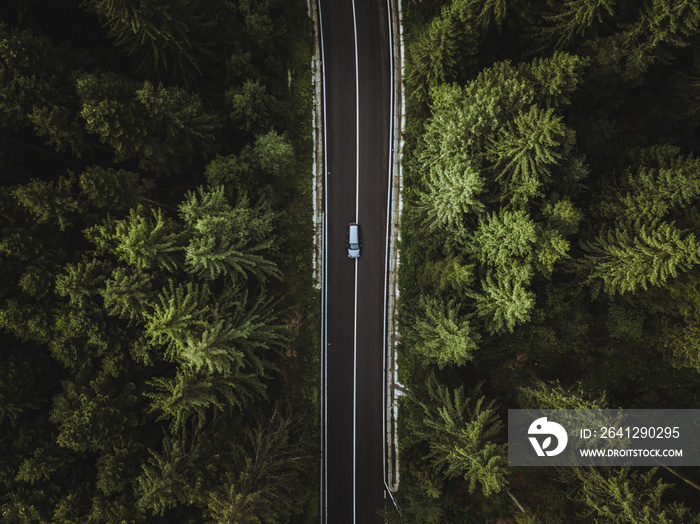 乡村公路上汽车驶过森林的鸟瞰图。旅行理念