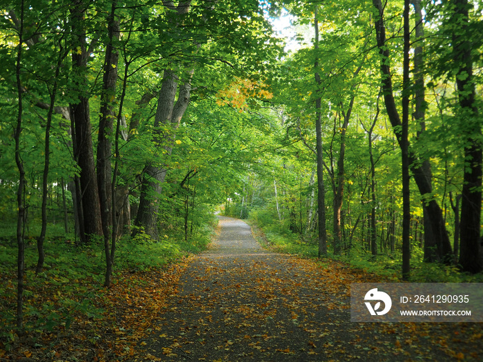 Early autumn paved trail