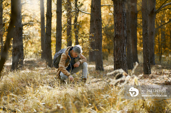 背包客在森林里收割草药，研究野生自然。健康与自然c