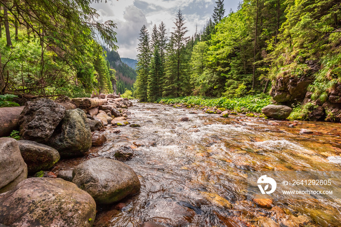 Small stream and big rocks in Koscieliska valley, Tatra mountains