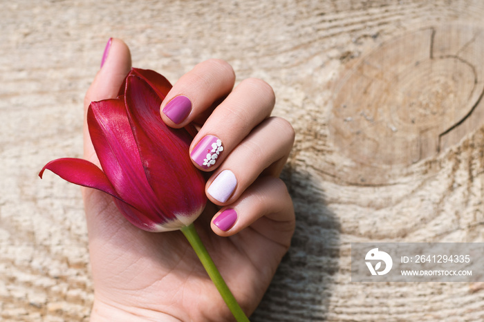 Female hand with purple nail design holding beautiful pink tulip.