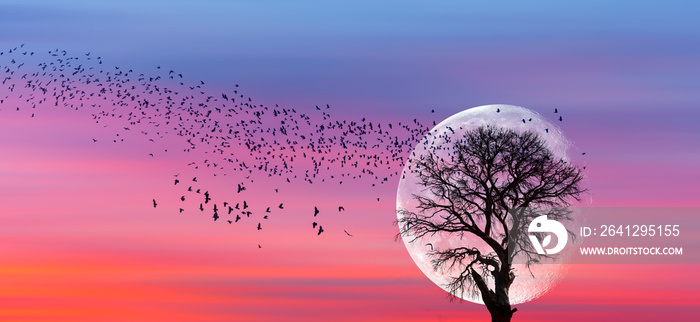 Lone dead tree with silhouette of birds flying, full moon rising in the background  Elements of this