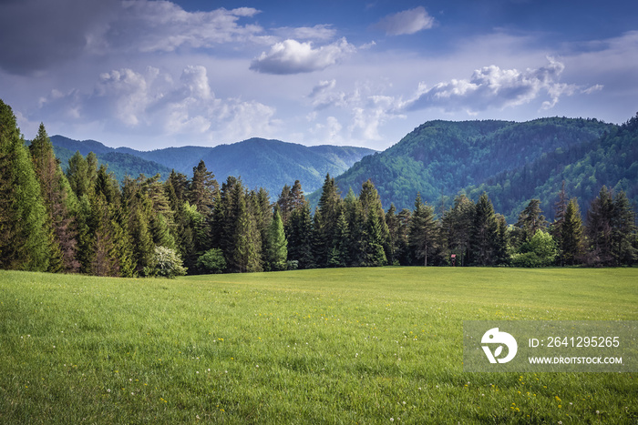 Mountain meadow in Klastorisko area in Slovak Paradise park in Slovakia