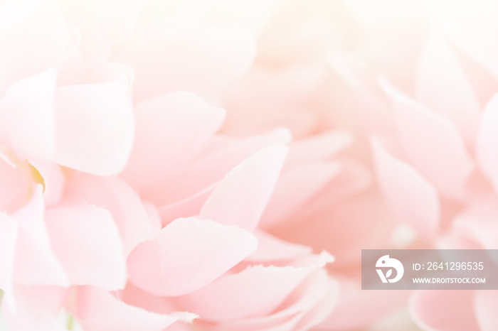 Beautiful pink flowers made with color filters, soft color and blur style for background