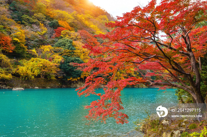 Arashiyama in autumn season along the river in Kyoto, Japan.