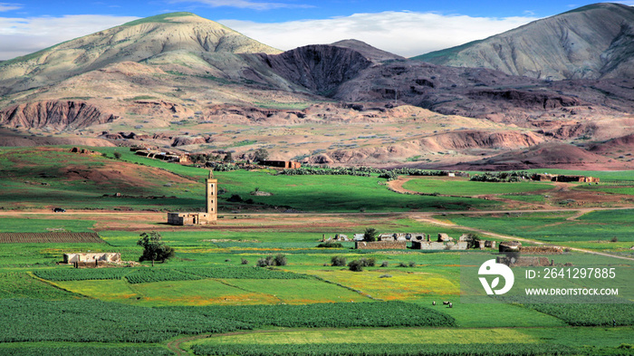 摩洛哥非斯平原的景观