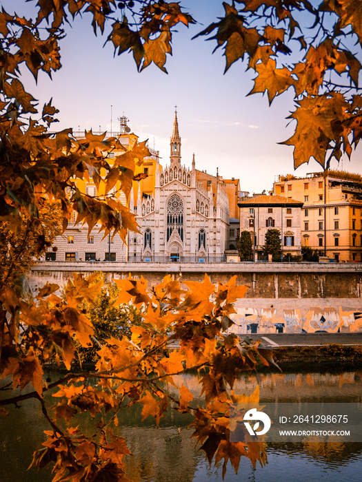 秋天的罗马-意大利，黄色的树叶、河流和美丽的建筑