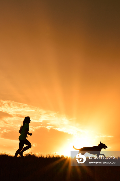 日落时分，女孩带着她的狗奔跑的剪影。