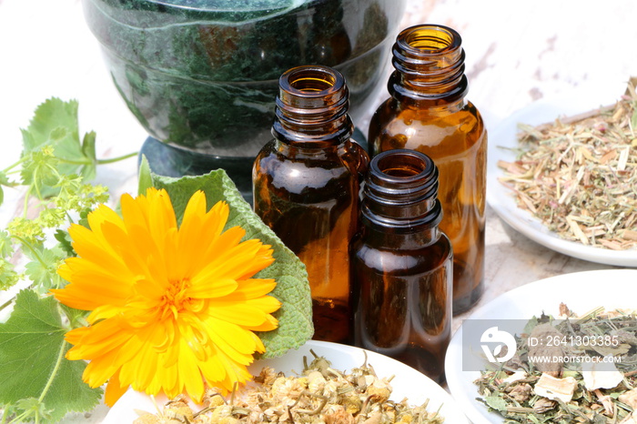 Herbal Medicine, Heilkräutertherapie, Phytotherapie