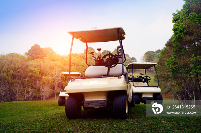 Golf cart on fairway in golf course.