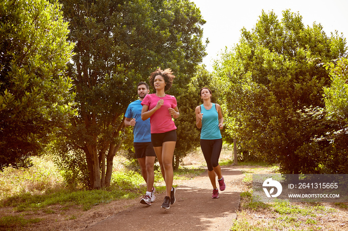 Three joggers on a running trail