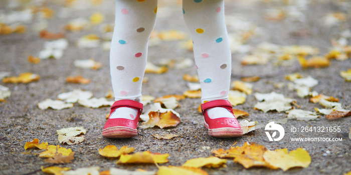 Toddler girl in red shoes and polka dot pantihose standing on fallen leaves in a fall day