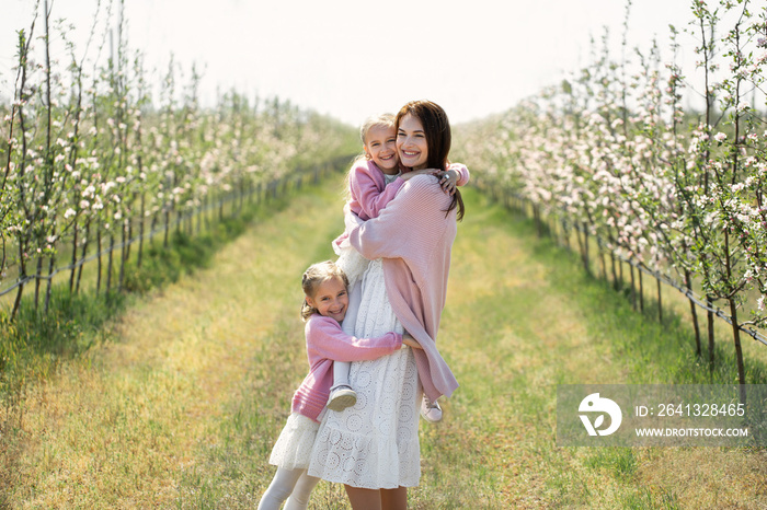 年轻的母亲和她的双胞胎女儿在春天的苹果园里散步
