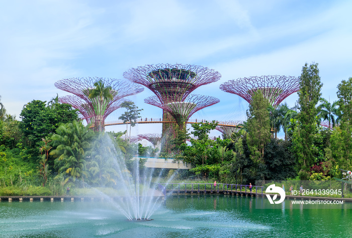 海湾花园的超级树。新加坡著名景点。