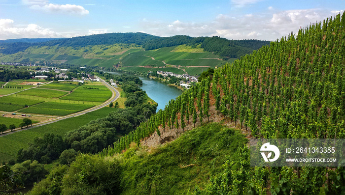 Die Mosel bei Ürzig, Rheinland-Pfalz, Deutschland