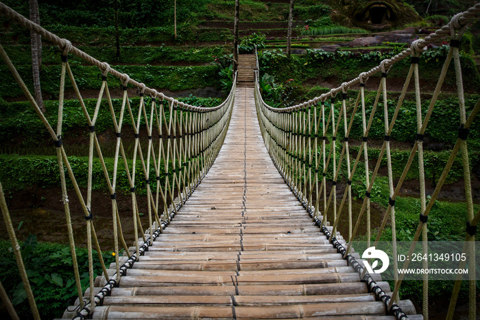 Suspension bridge, central inside view.