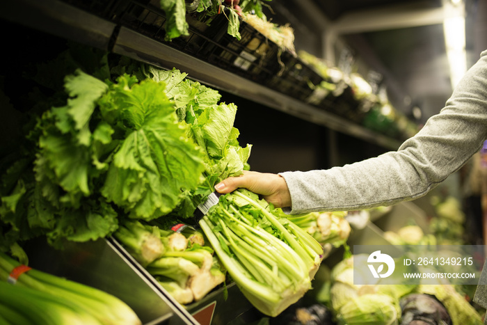 Close up of woman taking a lettuce in supermarket.