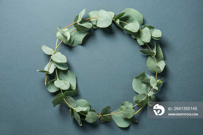 Eucalyptus branches with fresh leaves on color background