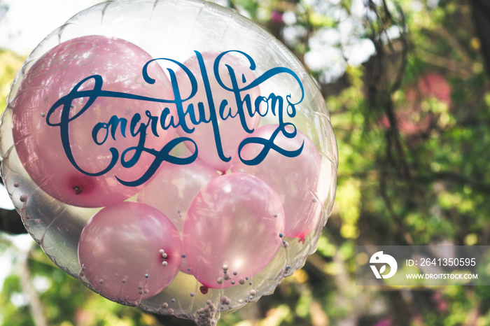 Transparent round balloon inserted with small pink balloons for greeting cerebration