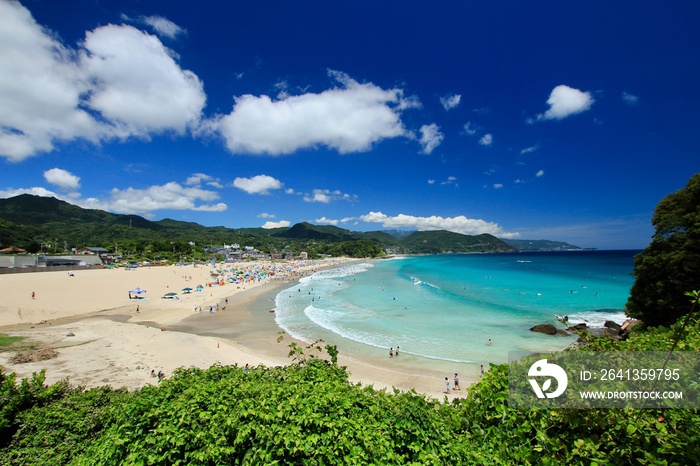 伊豆下田　夏の白浜大浜