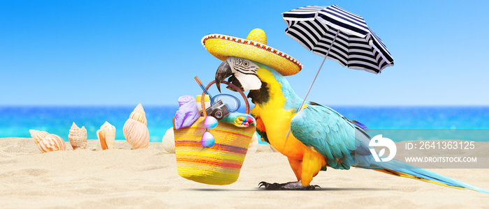 Papagei als Paradiesvogel am Strand - Urlaub Konzept