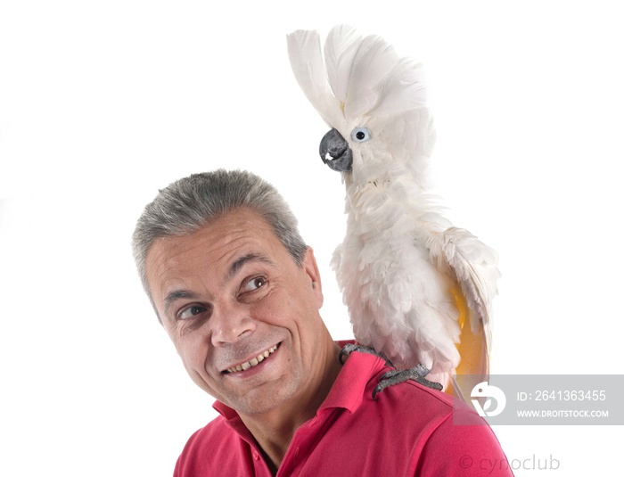 White cockatoo and man