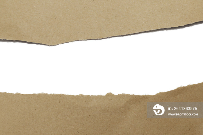 torn brown paper woth blank copy space