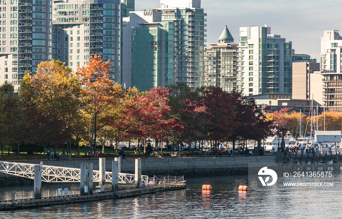 Autumn Park in downtown in Vancouver, British Columbia, Canada. Autumn Cityscape Vancouver