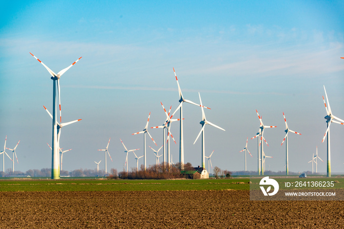 Ein großer Windpark direkt neben einer kleinen Ortschaft an der Nordseeküste in Dithmarschen