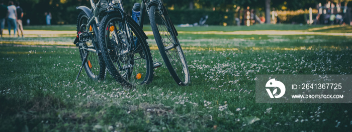 2 Fahrräder stehen im Gras im Park