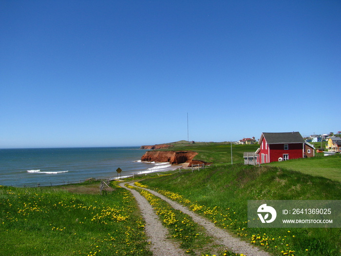 Maison rouge sur une falaise au bord de locéan, chemin bordé de pissenlits,  herbe verte, ciel bleu
