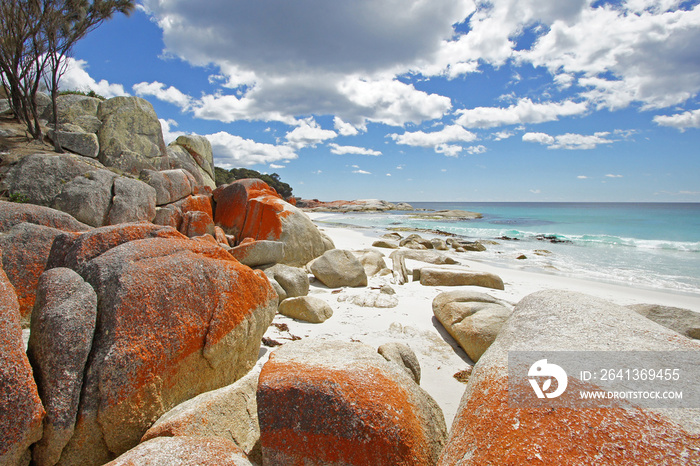 Bay of Fires, Tasmanien, Australien