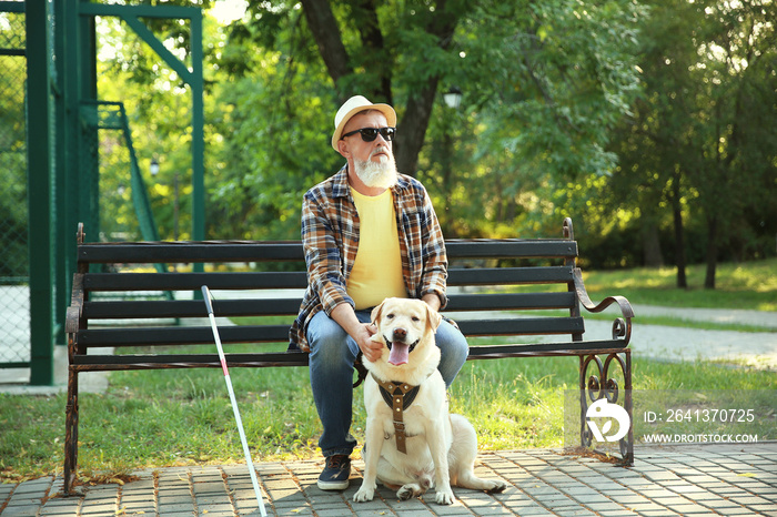 盲人和导盲犬坐在公园长椅上