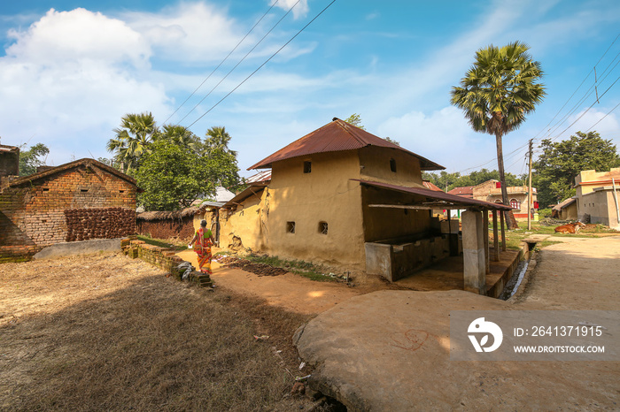 一名农村妇女沿着一条未铺设的乡村道路行走，可以看到印度部落村庄的泥屋。