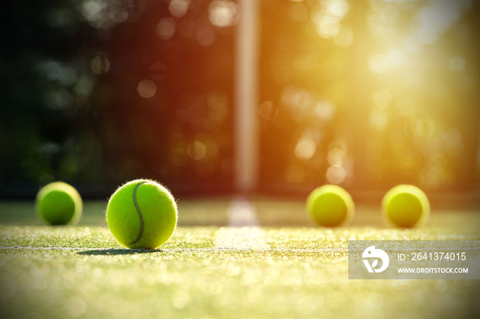 阳光下草地球场上的网球