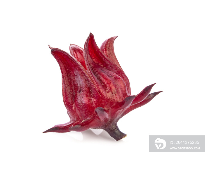 Roselle Hibiscus sabdariffa红色果实，白色背景。