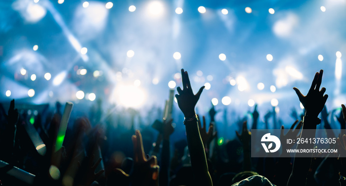 cheering crowd at a rock concert.