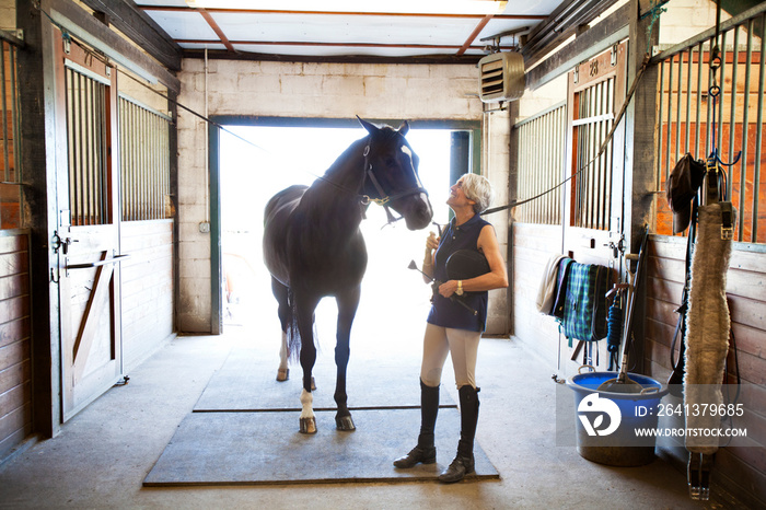 Happy woman looking at horse in stable