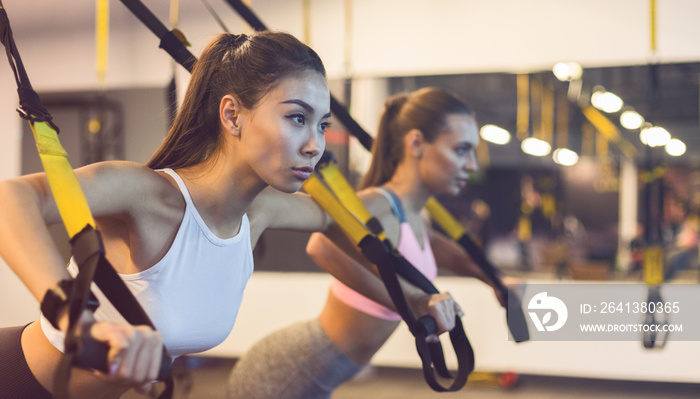 Women training triceps with trx fitness straps