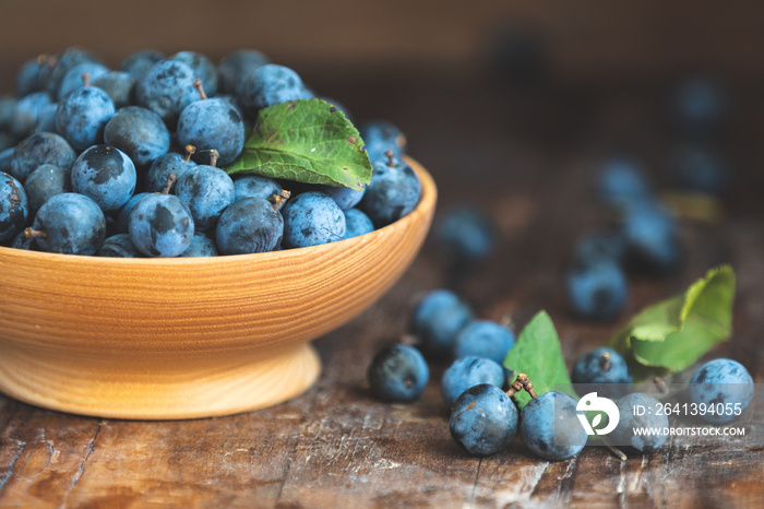 Autumn harvest blue sloe berries on a wooden table background. Dark rustic style