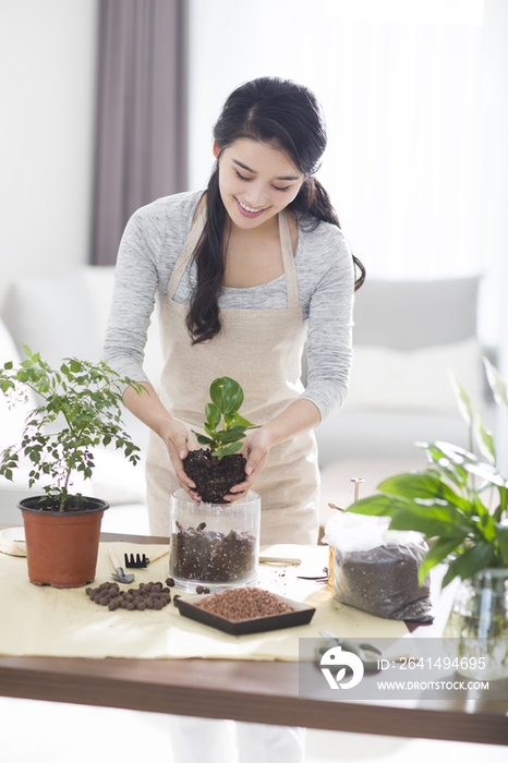 年轻女子在家种植盆栽