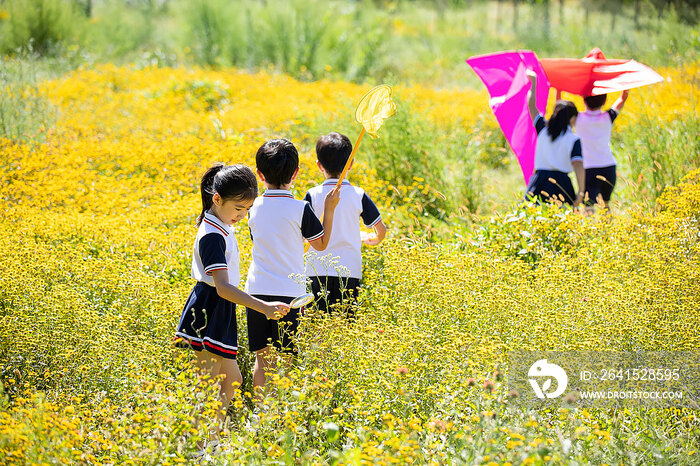 快乐的小学生在户外探索自然