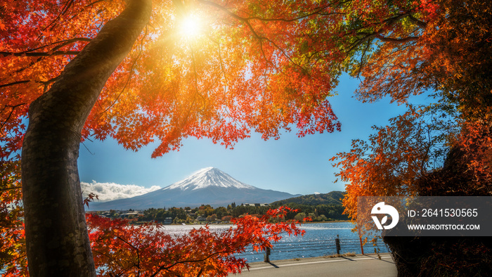 Mount Fuji in Autumn Color, Japan