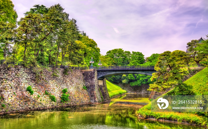 Imperial Palace with Nijubashi Bridge in Tokyo