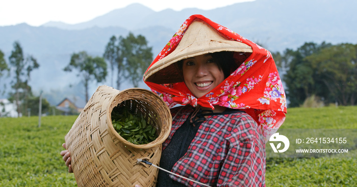 Happy woman holding harvest of green tea