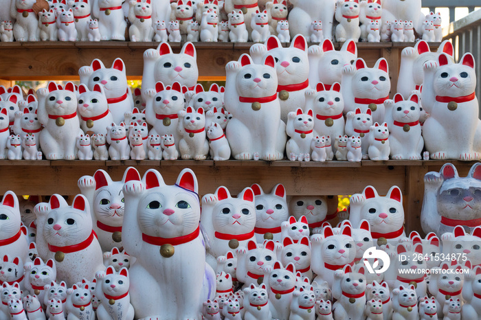 吉祥猫在后宫寺的货架上东京万奈木奈子日本文化
