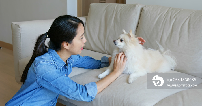 女人在家抱着她的波美拉尼亚犬