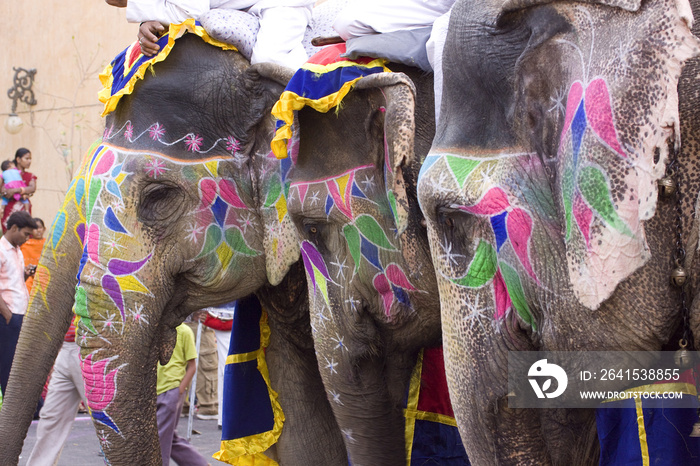 colorful elephant , festival , Jaipur, Rajasthan, India