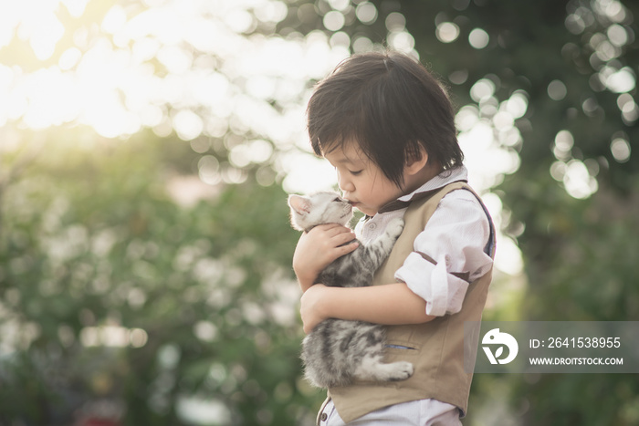 亚洲男孩抱着美国短发小猫